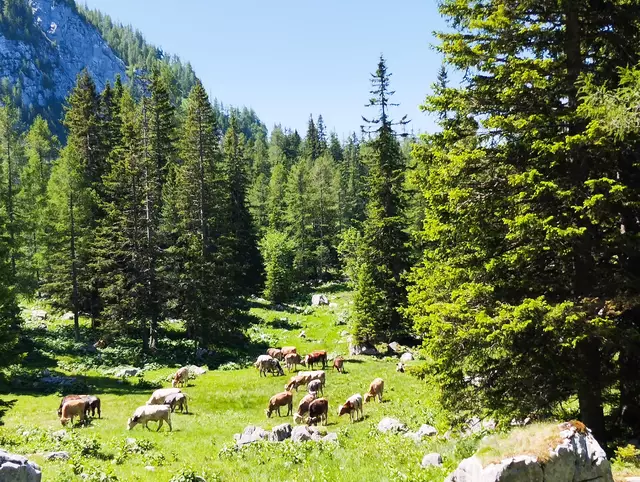 Foto: Veronika Frank