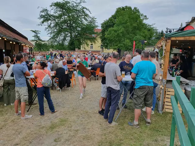 Die Music-Night ist längst ein fixer Bestandteil des sommerlichen Veranstaltungskalenders in Eggenburg. | Foto: MÖFA