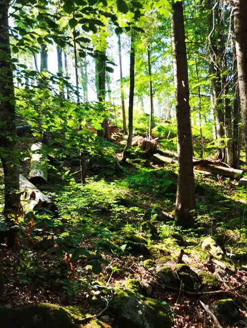 Foto: Veronika Frank