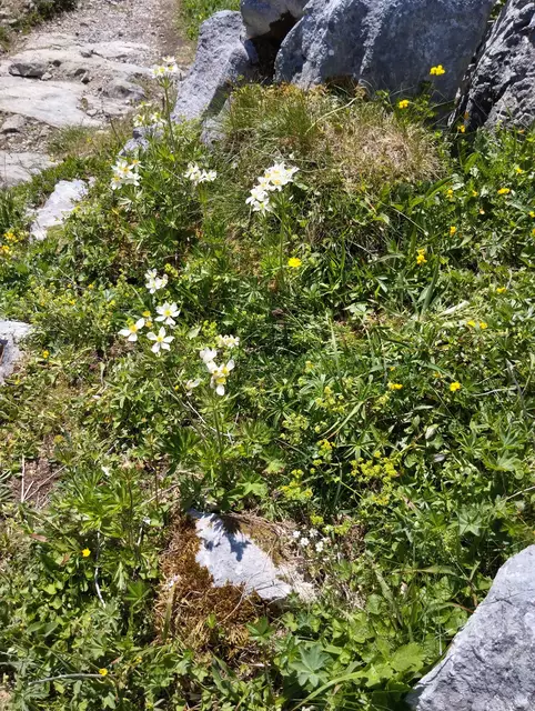 Foto: Veronika Frank