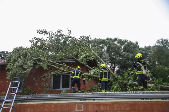 Bäume beschädigten diesen Rohbau in Schleißheim. | Foto: laumat.at
