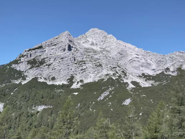 Foto: Veronika Frank