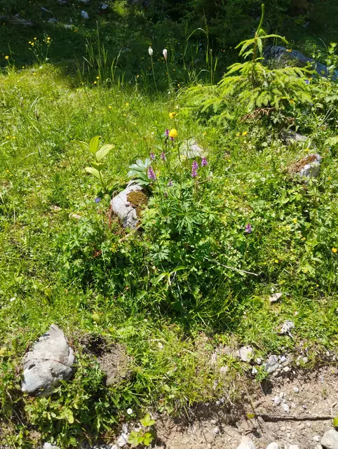 Foto: Veronika Frank