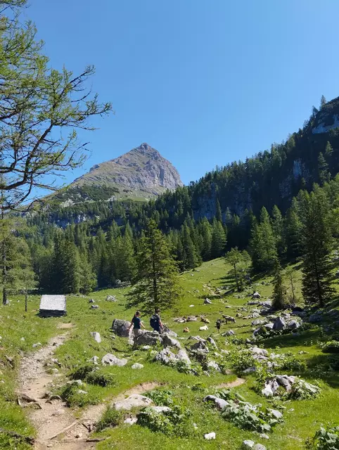 Foto: Veronika Frank