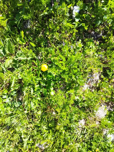 Foto: Veronika Frank