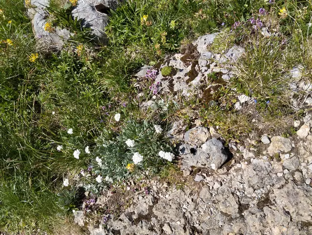 Foto: Veronika Frank