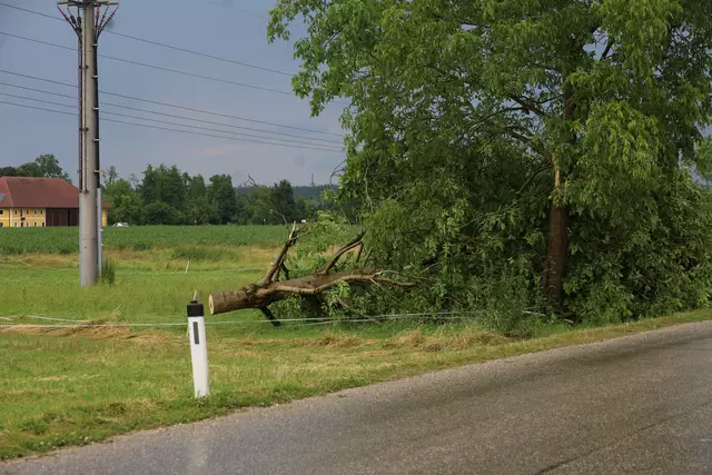 Der Sturm entwurzelte viele Bäume in Wels-Land. | Foto: laumat.at