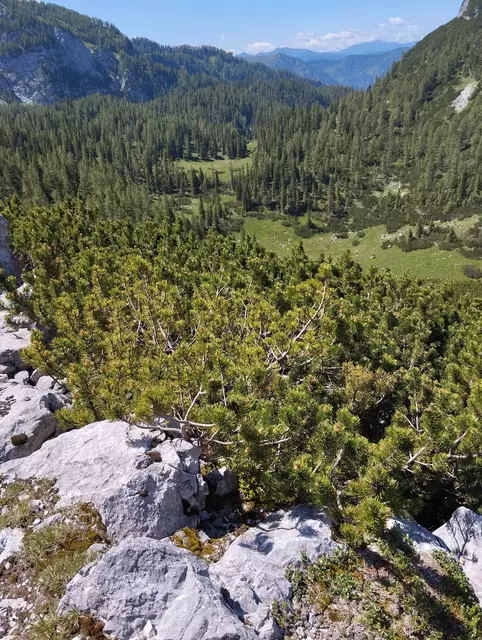 Foto: Veronika Frank