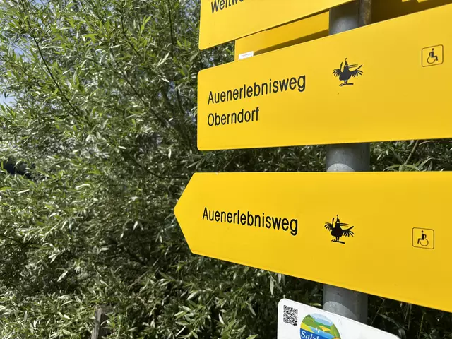 Foto: Simon Haslauer