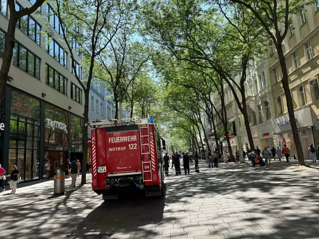 Nachwirkung vom Sturm: ein loser Ast im Bereich der Mariahilfer Straße löste einen kleineren Feuerwehreinsatz aus. | Foto: zVg