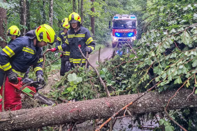 Heftige Windböen brachten in der Bad Goiserer Ortschaft Unterjoch an mehreren Stellen Bäume zu Fall. Die Straßen waren unpassierbar. | Foto: FF Bad Goisern