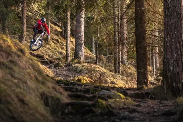 Downhill-Mountainbiken gehört zu den actionreichsten Spielarten des Radsports: Auf die Technik kommt es an.  | Foto: Panthermedia