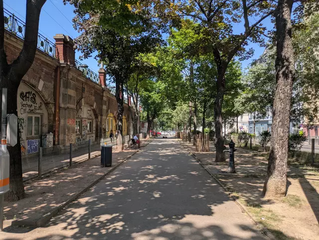 Nur drei Hundezonen für über 500 Hunde: In der Josefstadt wächst zunehmend der Wunsch nach Verbesserungen.  | Foto: Matthias Pandrea