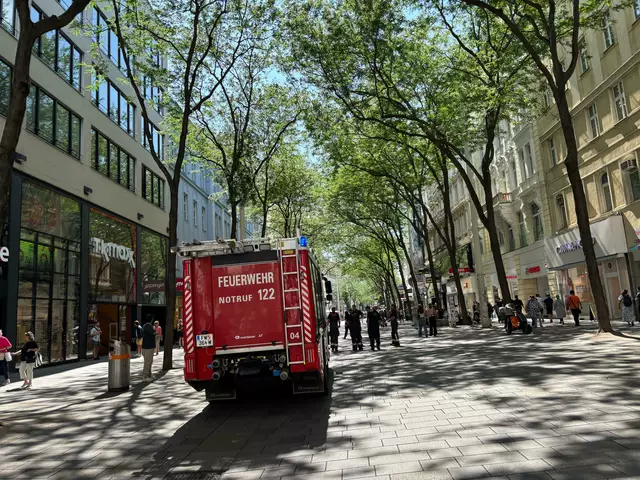Nachwirkung vom Sturm: ein loser Ast im Bereich der Mariahilfer Straße löste einen kleineren Feuerwehreinsatz aus. | Foto: zVg