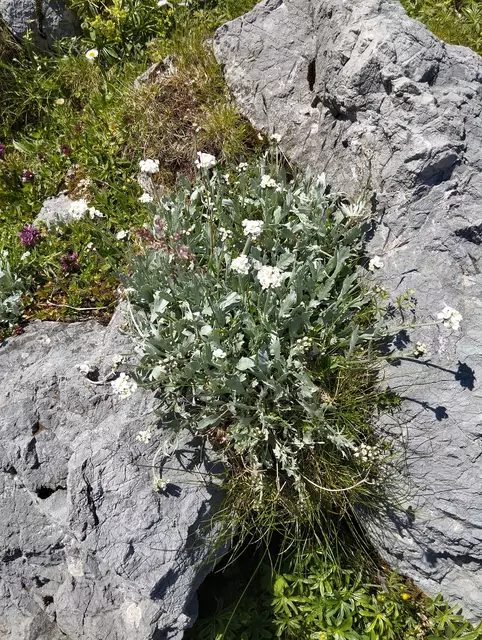 Foto: Veronika Frank