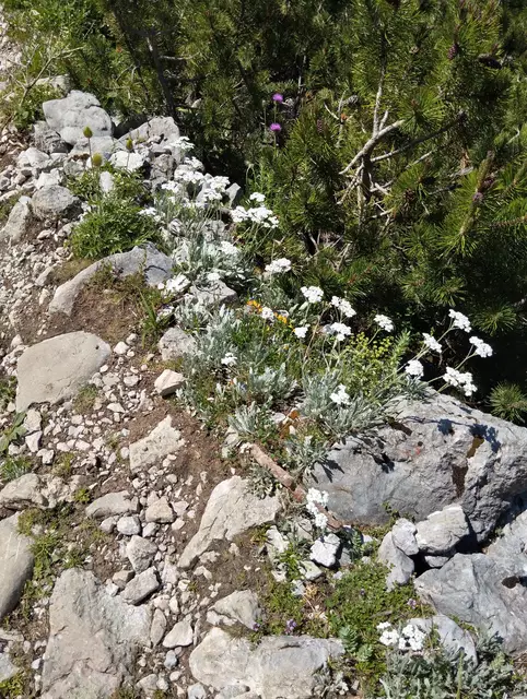 Foto: Veronika Frank