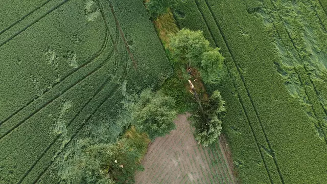 Der Sturm entwurzelte viele Bäume in Wels-Land. | Foto: laumat.at