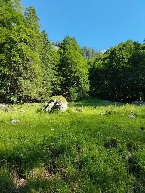 Foto: Veronika Frank