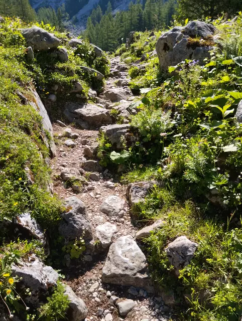 Foto: Veronika Frank