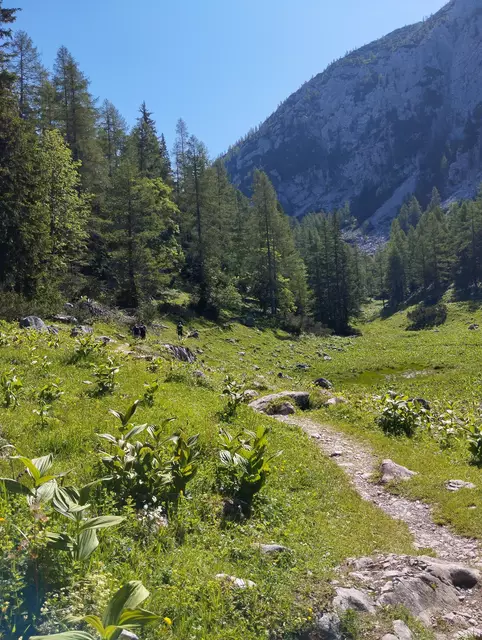 Foto: Veronika Frank