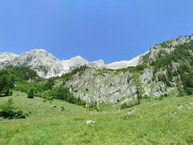 Foto: Veronika Frank