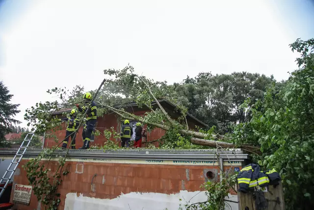 Bäume beschädigten diesen Rohbau in Schleißheim. | Foto: laumat.at