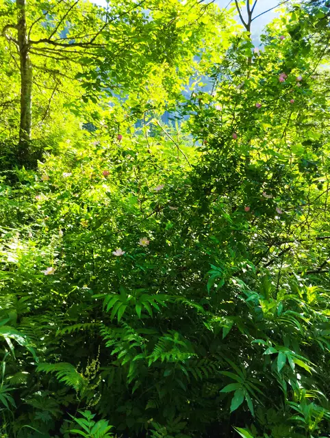 Foto: Veronika Frank