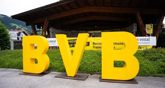 Die Farbe "gelb" dominiert wieder im Brixental. | Foto: TVB/J. Kogler
