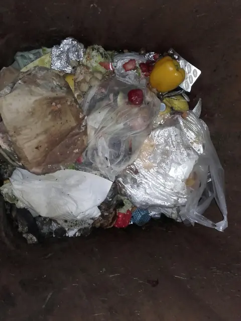 Biotonnen werden in einem Pilotversuch in Kalsdorf vom Entsorger kontrolliert. Bei Fehlwürfen werden Verursacher zur Kasse gebeten. | Foto: AWV