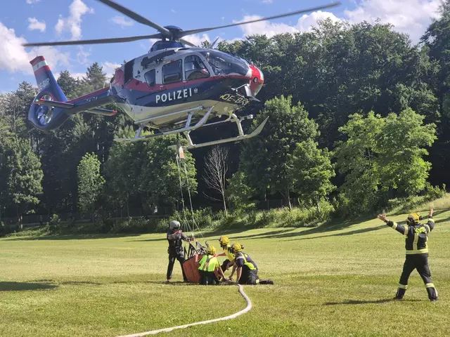 Der Waldbrand hielt die Einsatzkräfte am Dienstag in Atem. | Foto: Doku NÖ