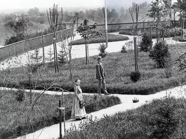 Aufnahmen vom Schärdinger Schlosspark zur Eröffnung im Jahr 1895. Heuer feiert der Park sein 130-jähriges Bestandsjubiläum.
