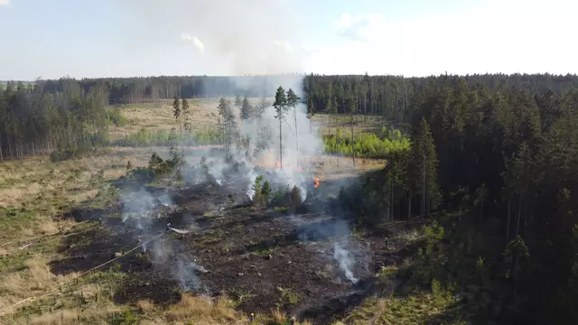 Das Risiko auf Waldbrände steigt enorm in Niederösterreich. Deshalb tritt die Waldbrandverordnung jetzt in Kraft in Waidhofen/Thaya. (Das Bild stammt von einem Waldbrand nähe Kaltenbach (Gemeinde Vitis) im Jahr 2022.) | Foto: BFK WT / St. Mayer