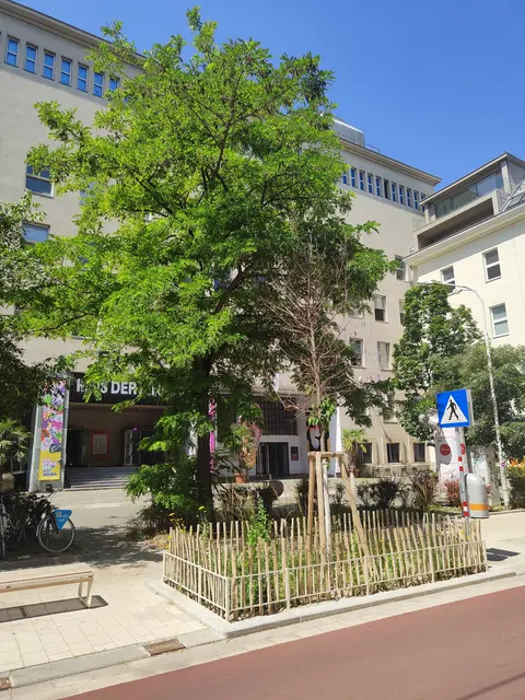 Foto: zVg