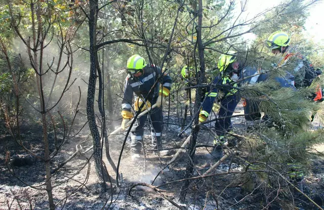 Die Waldbrandverordnung 2025 ist in Kraft getreten. | Foto: Wolfgang Zarl
