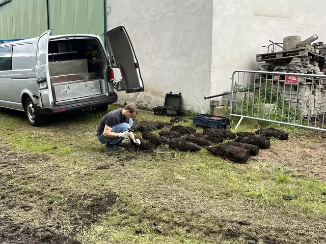 Bei Grabungsarbeiten für eine neue Nahwärmeleitung wurden 62 Stück Geschützmunition gefunden. Mitarbeiter vom Innenministerium haben sie entschärft.  | Foto: Nahwärme Krieglach