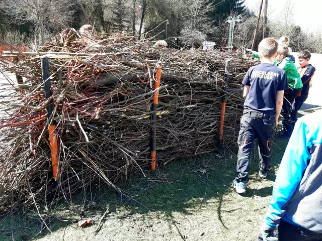 Die Astschnitt-Hecken dienen als wertvolle Nützlingsunterkünfte für Wildbienen, Vögel und weitere Tiere. | Foto: Naturschwärmerei