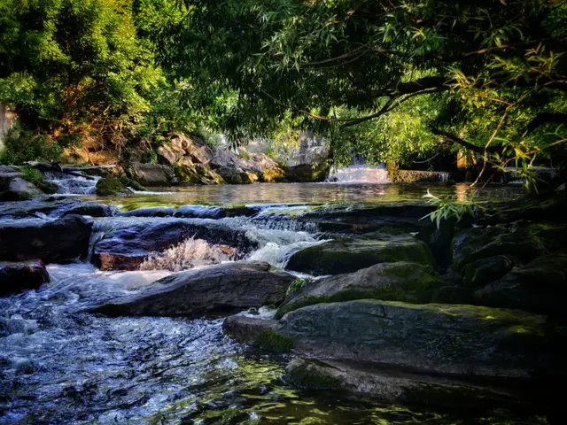 Frühtemperaturen sind bei 13 bis 22 Grad, die Tageshöchstwerte bei 30 bis 36 Grad. | Foto: Stephanie Brettschneider