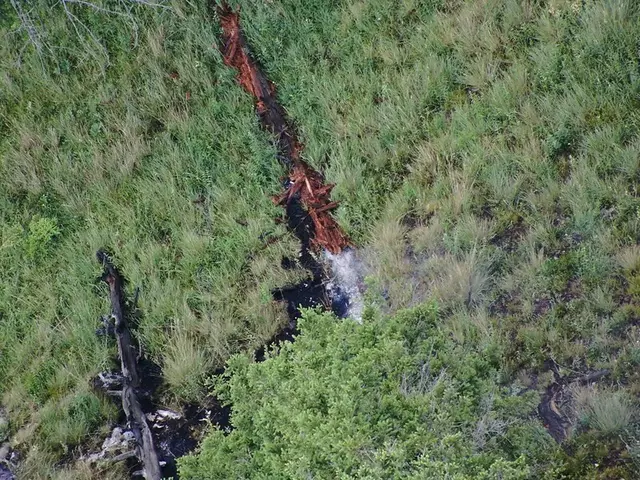 Nach einem heftigen Unwetter kam es an der Eisenerzer Seemauer zu einem schwer zugänglichen Baumbrand. | Foto: BFV Leoben