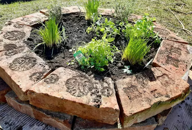 Neben dem Kräuterbeet wurde auch eine Blühfläche mit Ringelblumen, Borretsch und Kornblumen geschaffen. | Foto: Naturschwärmerei