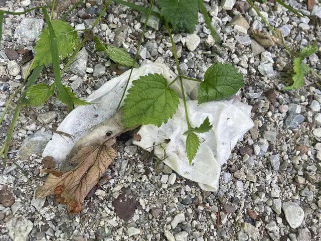 Sogar zurückgelassene Fäkalien sind keine Seltenheit mehr.  | Foto: Nimpf