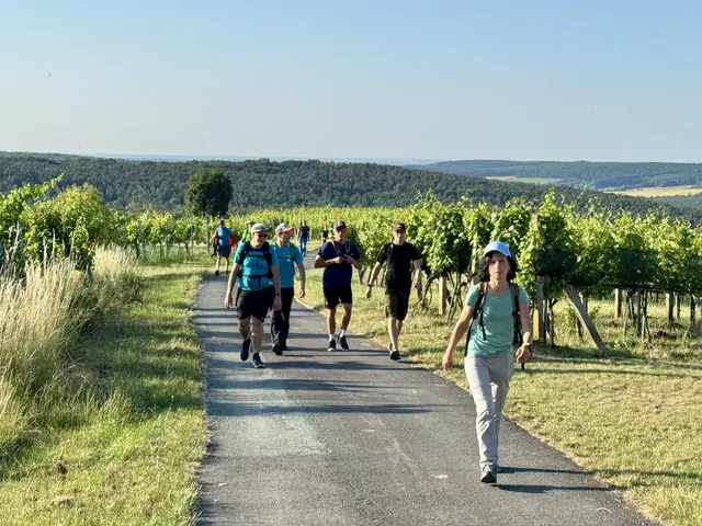 Csarterberg | Foto: Sebastian Koller