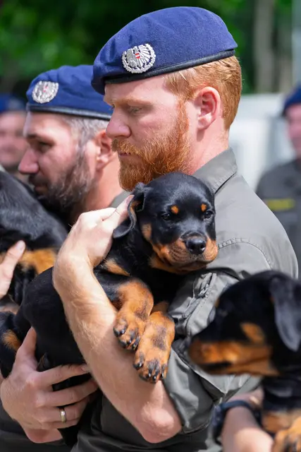 Foto: Bundesheer/Stefan Klikovich