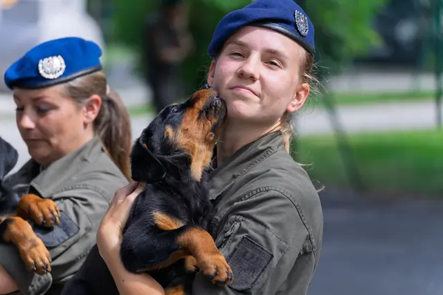 Foto: Bundesheer/Stefan Klikovich