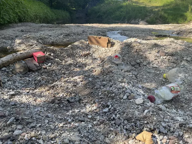 Der Aubach und der Bereich rund um den Motorikpark werden immer mehr als "Campingplatz" und für Grillfeiern genutzt. Wörgl greift jetzt mit einem Beschluss durch. | Foto: Nimpf