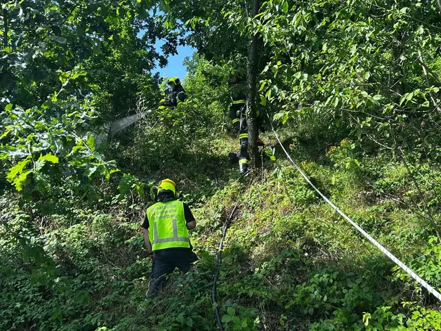 Foto: fotokerschi.at/FF Schwertberg