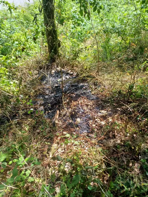 Foto: fotokerschi.at/FF Schwertberg