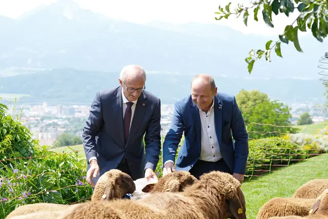 LH Anton Mattle und LHStv. Josef Geisler wollen Rechtssicherheit. | Foto: Land Tirol/Dominik