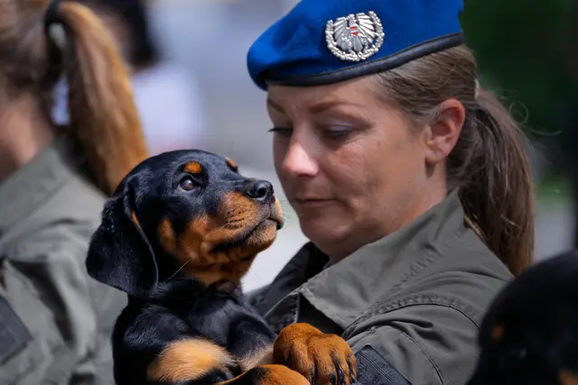 Foto: Bundesheer/Stefan Klikovich