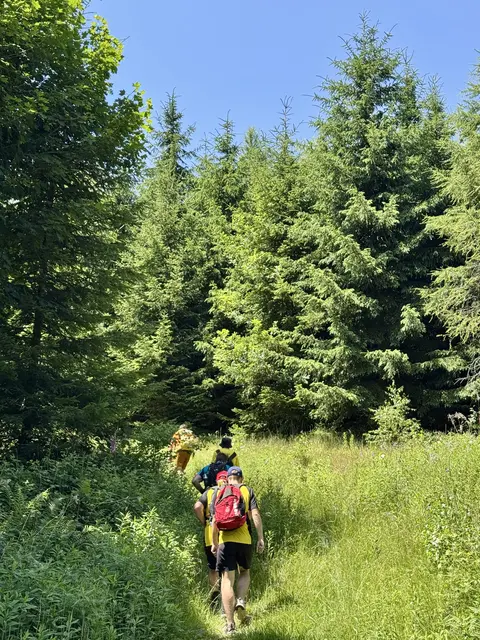 Kurz vor dem Gipfel | Foto: Sebastian Koller