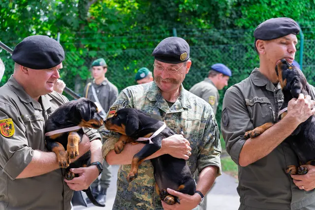 Foto: Bundesheer/Stefan Klikovich